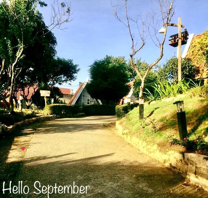 Vanda Garden Hill Hostel Đà Lạt Ngoại thất bức ảnh